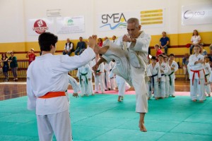 TAIKAI – 2° Stage internazionale di arti marziali