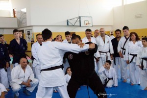 Soke Alfonso Torregrossa, una vita dedicata alle arti marziali