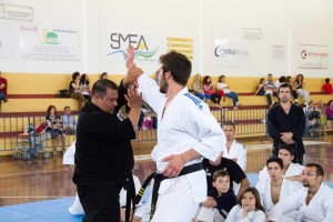 TAIKAI – 2° Stage internazionale di arti marziali