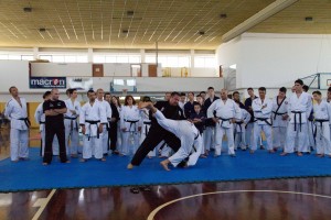 TAIKAI – 2° Stage internazionale di arti marziali