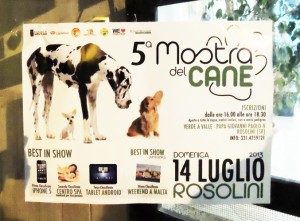 5^ mostra del cane