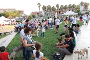 5^ mostra del cane