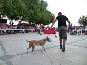 5^ mostra del cane