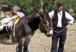 10ª Festa della tosatura