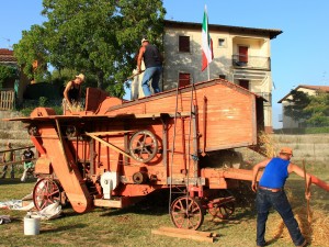 Antica battitura del grano