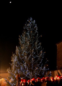 Acceso l’albero di Natale 2013