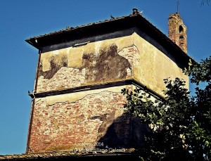 Approvato il percorso pedo-ciclabile per le Cascine