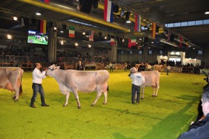 Fiera Agricola 2014