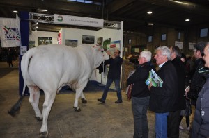 Fiera Agricola 2014