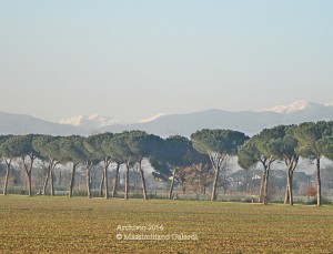 Approvato il percorso pedo-ciclabile per le Cascine