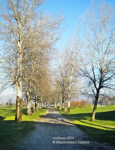 Approvato il percorso pedo-ciclabile per le Cascine