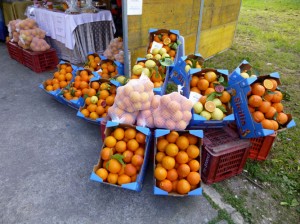 Sagra del tarocco