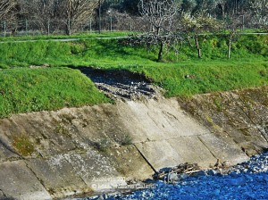 “Buone nuove” per la frana alla Pescaia di Santa Lucia