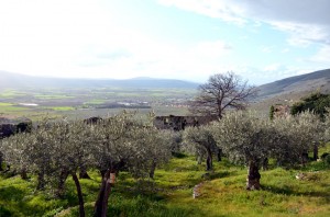 Giornate FAI: Chiesa di Santa Maria della Misericordia