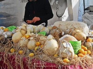 Qualità Territorio Tradizione