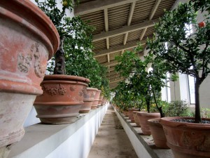 La limonaia del Giardino di Boboli