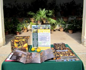 La limonaia del Giardino di Boboli