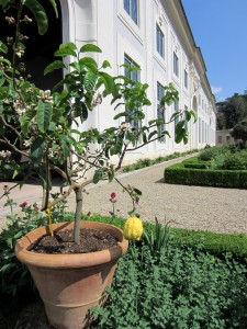 La limonaia del Giardino di Boboli