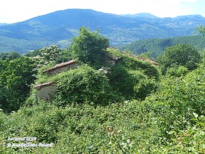 Parmigno… inghiottita da una giungla