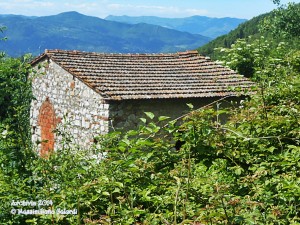 Parmigno… inghiottita da una giungla