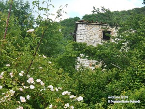 Le Casacce… di nome e di fatto!