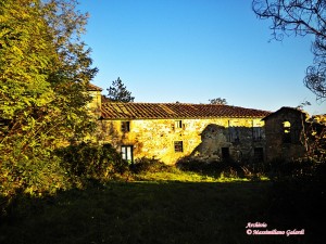 Podere Il Castagnetino… tra erbacce e crolli