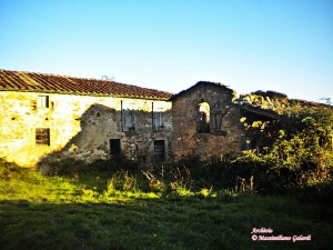 Podere Il Castagnetino… tra erbacce e crolli