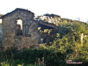 Podere Il Castagnetino… tra erbacce e crolli