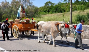 Culto e festa della Madonna di Anzano