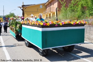 Culto e festa della Madonna di Anzano