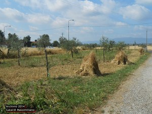 Festa della mietitura