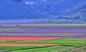 Meraviglia fra nebbie e colori