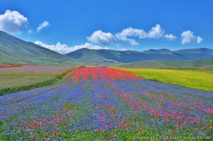 Meraviglia fra nebbie e colori