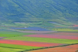 Meraviglia fra nebbie e colori