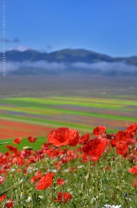 Meraviglia fra nebbie e colori