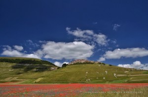 Meraviglia fra nebbie e colori