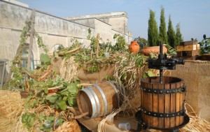 La vendemmia durante le “Giornate Europee del Patrimonio”