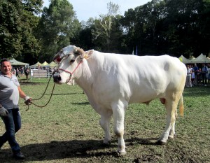 Expo Rurale Toscana