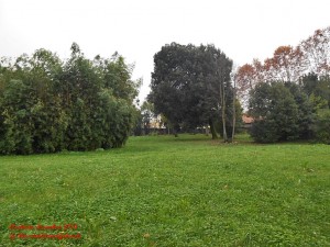Il giardino segreto di Villa Giamari