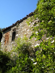 Castello di Montauto: ruderi di storia