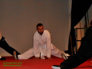 Esibizioni di Kung Fu, Tai Chi Chuan e Yudo