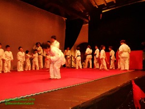 Esibizioni di Kung Fu, Tai Chi Chuan e Yudo