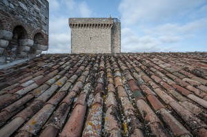 La rocca di Albornoz