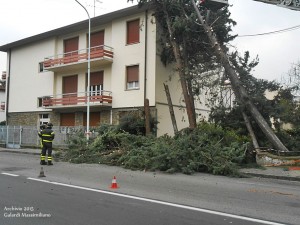 Tagliati gli alberi pericolanti alla Pietà