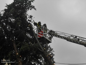 Tagliati gli alberi pericolanti alla Pietà