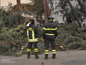 Tagliati gli alberi pericolanti alla Pietà