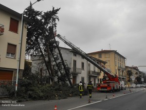 Tagliati gli alberi pericolanti alla Pietà