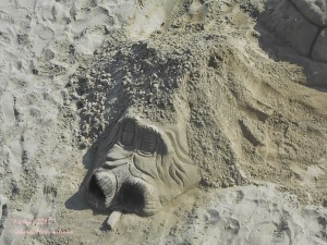 Sculture di sabbia