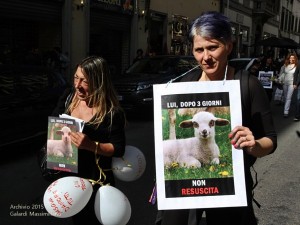 A Pasqua non uccido: salviamo gli agnelli