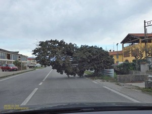 La situazione dopo il tornado di vento